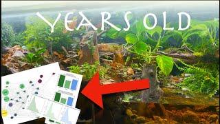 How to digitalise your ecosystem vivarium, this happened...