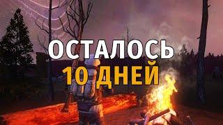 435. Подготовка к обнове: Осталось 10 дней. Сталкер Онлайн, СПБ сервер.