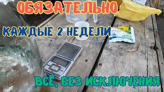 Обязательно, каждые 2 недели обработка препаратами бора и кальция + биопрепараты.#огород #сад