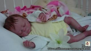 Reborn Baby Girl Anastasia by Nikki Holland Presentation "The SMN Show 12"