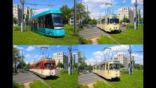 [Düwag Pendelverkehr] VGF Straßenbahn Frankfurt am Main Historische Wagen auf der Linie 17V