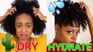 Top 5 BEST MOISTURIZERS for DRY Type 4 Hair (I Can't Live Without These)