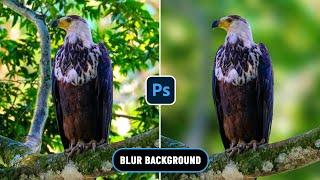 How to Quickly Blur Backgrounds in Photoshop 2024