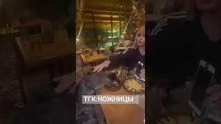 Сергей Зверев взял уличную кошку и накормил её в ресторане Телеграм:scissorsnews