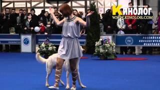 Dog dancing show "Eurasia  2012 / Russia / Moscow". Freestyle.