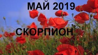 СКОРПИОН Таро гороскоп на МАЙ 2019