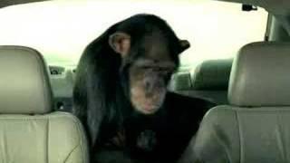 Trunk Monkey - Car Anti-Theft Device!!