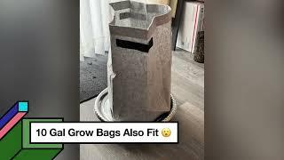 How I use my Dollar Tree DIY 16in Rolling Plant Saucer 