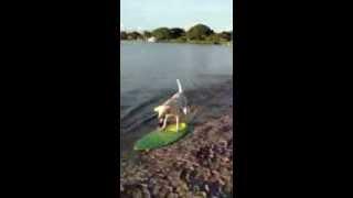 Maddux skimboarding