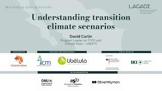 Understanding climate transition scenarios - David Carlin