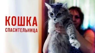 КОШКА СПАСИТЕЛЬНИЦА! ЗАБРАЛА БОЛЕЗНЬ НА СЕБЯ