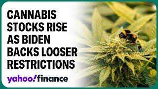 Weed stocks pop as Biden backs marijuana reclassification