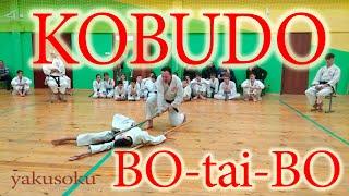 KOBUDO | YAKUSOKU BO-TAI-BO KUMITE | Первенство Минска по ТАЙФУКАН КОБУДО | Ryu Kyu Kobudo | КОБУДО