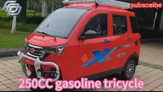 250cc 3 wheel motorcycle bajaj taxi motor Tricycle Passenger Gasoline Trike