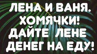 Лена и Ваня// Хомячки! Дайте Лене денег на еду! // Обзор видео//