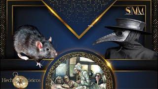 The Black Death – The Death That Redrew Europe