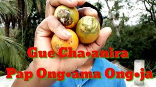 Gue cha•anira pap ong•ama ong•ja?