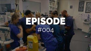 NEW BONDI VET- The unusual things pets eat | Dr Alex Hynes | VLOG 004