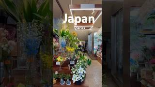 Japan diaries #travelvlog #travelvlog #japan