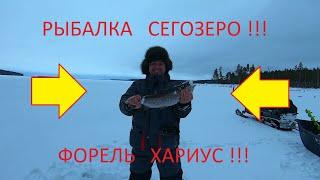 Сегозеро форель. И мы всё же её нашли, кто ловил тот поймёт. #Сегозеро #Форель #РыболовныйГид #Удача