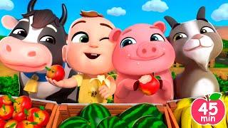 Apples and Bananas | Yummy Treats for Animals! + More Lalafun Nursery Rhymes & Kids Songs