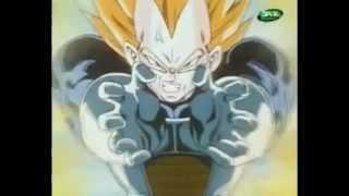 Portuguese Vegeta's Best Parrot Impression