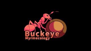 Unboxing Video - Buckeye Myrmecology - Unboxing Series 2/4