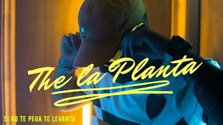 ENGANCHADO THE LA PLANTA | 2020