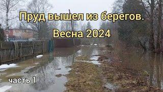 Пруд в СНТ Искра 2024. часть 1