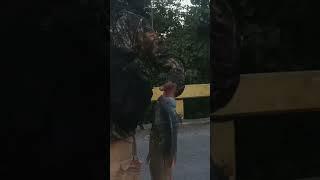 tiksay fish hunting big carp