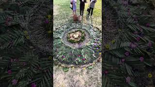 Nature Mandala Art Installation by Ann Viveros from Wisdom Ways Summer Solstice Celebration 2023!