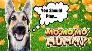 Can a Dog Really Pick a Winning Slot Machine?