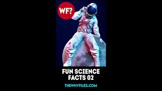 Fun Science Facts 02 - The Why Files #shorts