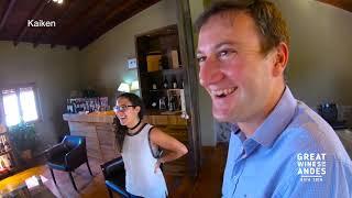 Great Wines of the Andes