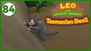 The Tasmanian Devil - Leo The Wildlife Ranger (Episode 84)