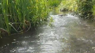 KENT , LEYBOURNE LAKES WALK ENGLISH COUNTRYSIDE