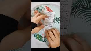 gothic dracula and vampire girl vibe #gothic #anime #vibe journal design #asmr #journal