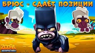 ГОРИЛЛА БРЮС - СДАЁТ ПОЗИЦИИ В ЗАРУБЕ В ИГРЕ Zooba: Битва животных