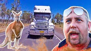 Trucker's Nightmare! Kangaroo Ruins Brand New $90,000 Rig in Seconds