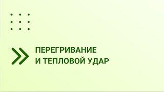 Перегревание и тепловой удар