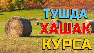 Тушда Хашак курса - Tushda Xashak ko'rsa