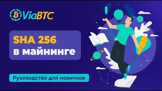 Алгоритм SHA 256 в майнинге | ViaBTC