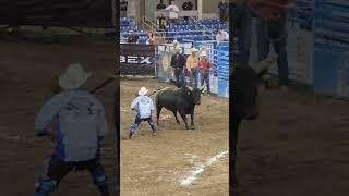 Big Red Bull Riding #bullride #bull #bullriders #bulls #atta #attaboy #rider #grit #rodeo #wreck