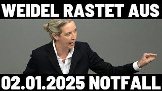 WEIDEL RASTET AUS FRAU WEIDEL ZERLEGT INTERVIEWER KNALLHART!