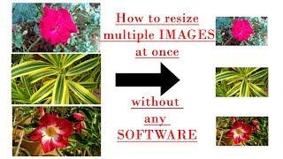 How to resize multiple images at once without any software