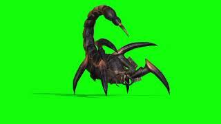 Scorpion  green screen  effect  video  Scor  pion  4k  free