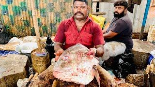 MONSTER TREVALLY FISH HEAD CUTTING | KASIMEDU SELVAM FISH CUTTING  | FISH CUTTING | UK SONS MARINE