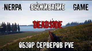 DEADSIDE | Выживание   ОБЗОР СЕРВЕРОВ⭐ PVE⭐ СЕРВЕР "К О С М О С"