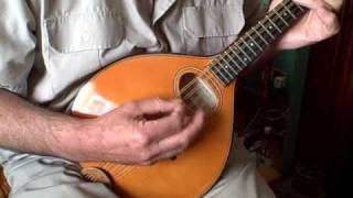 Sobell Mandolin: The Jug of Punch / Eddie Kelly's