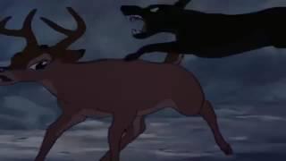 Bambi dog chase/fight